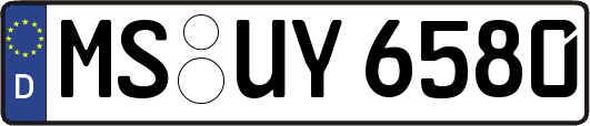 MS-UY6580