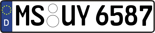 MS-UY6587