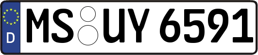 MS-UY6591