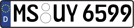 MS-UY6599