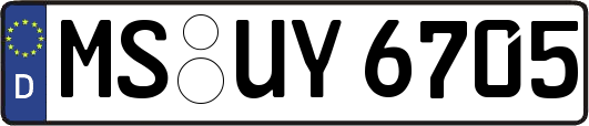 MS-UY6705