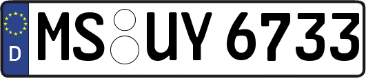MS-UY6733