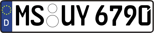 MS-UY6790