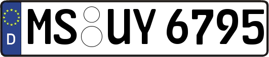 MS-UY6795