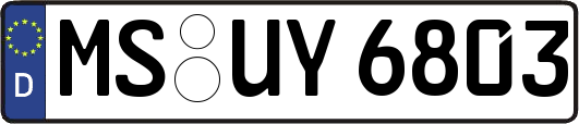 MS-UY6803