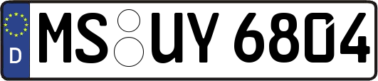 MS-UY6804