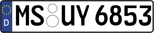 MS-UY6853