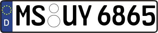 MS-UY6865