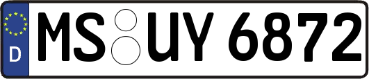 MS-UY6872