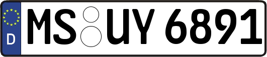 MS-UY6891