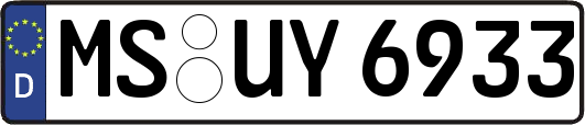 MS-UY6933
