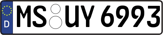 MS-UY6993