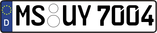 MS-UY7004
