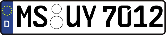 MS-UY7012