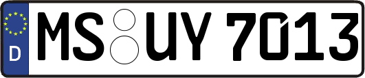 MS-UY7013
