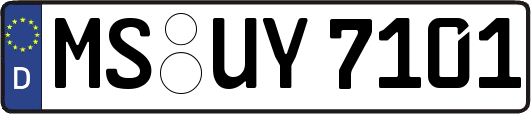 MS-UY7101
