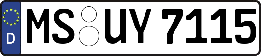 MS-UY7115