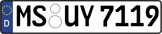 MS-UY7119