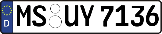 MS-UY7136