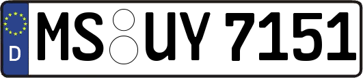 MS-UY7151