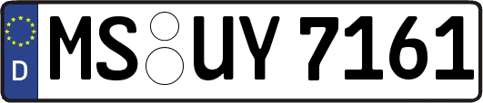 MS-UY7161