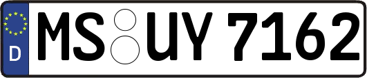 MS-UY7162