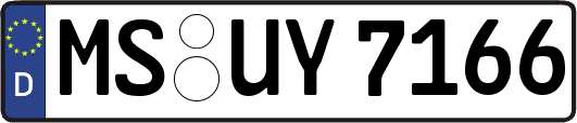 MS-UY7166