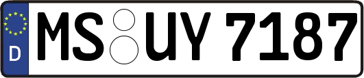 MS-UY7187