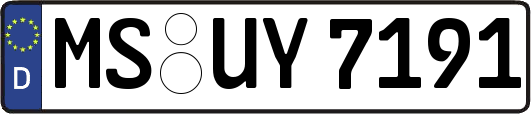 MS-UY7191