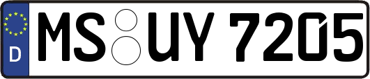 MS-UY7205