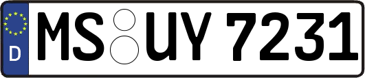 MS-UY7231