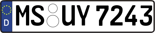 MS-UY7243