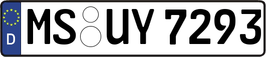 MS-UY7293