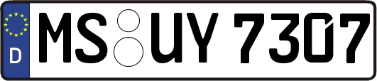 MS-UY7307
