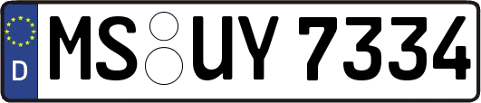 MS-UY7334