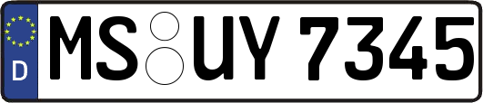 MS-UY7345