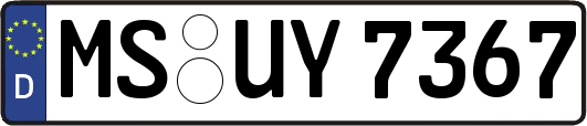 MS-UY7367