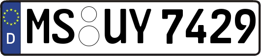 MS-UY7429
