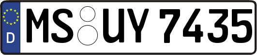 MS-UY7435