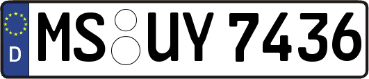 MS-UY7436