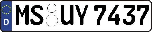 MS-UY7437