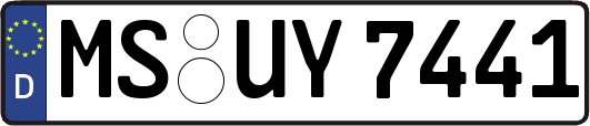 MS-UY7441