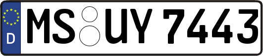 MS-UY7443