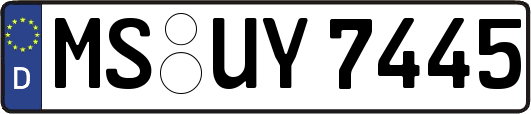 MS-UY7445
