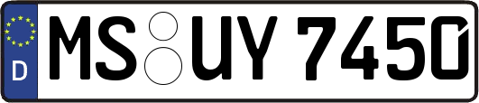 MS-UY7450