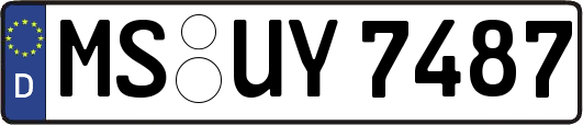 MS-UY7487