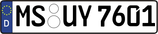 MS-UY7601