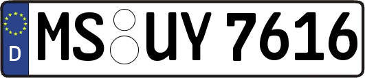 MS-UY7616