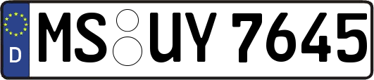 MS-UY7645