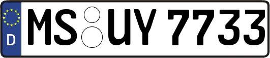 MS-UY7733